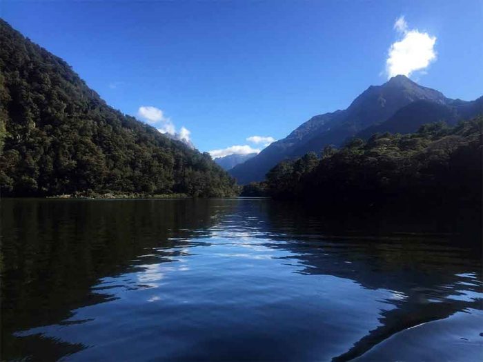 new-zealand-wilderness
