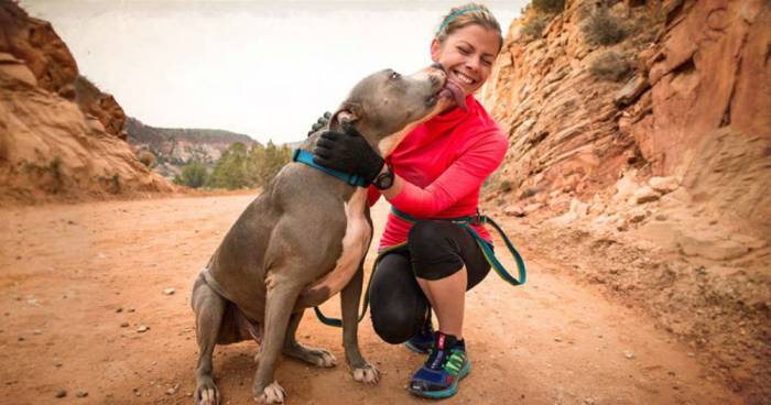 Free Pup Adoption Program In Its Final Year