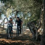 specialized foundation adhd