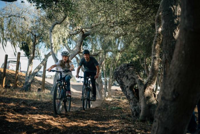 specialized foundation adhd