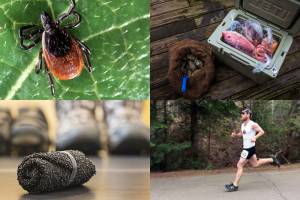 Wood Ticks, Truck Kitchen, Roll-Up Shoes: GearJunkie Week In Review Wood Ticks, Truck Kitchen, Roll-Up Shoes: GearJunkie Week In Review