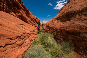 Approaching The First Anchor