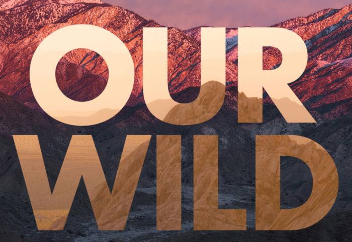 Our_Wild (1)