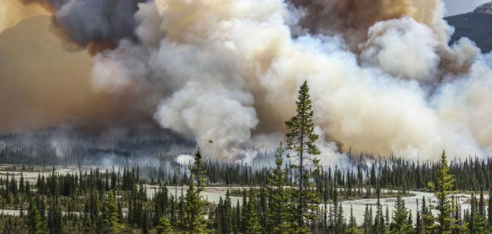 sara lindstrom alberta wildfires