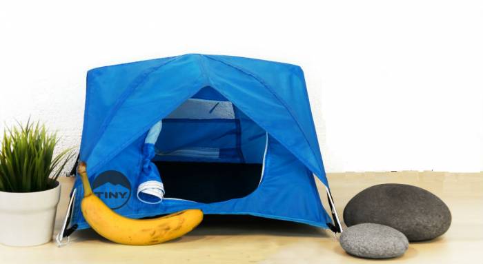 ‘Tiny Tents’ Stake Micro Market For Outdoor Enthusiasts