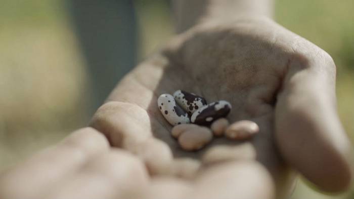 American Soil: Patagonia Promotes ‘Agrivolution’