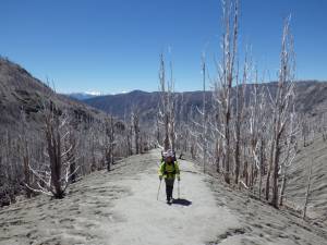 At 1,300 Miles, Remote ‘GPT’ Is Longest Trail In South America