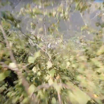 screen-shot-2016-10-27-at-5-19-05-pm