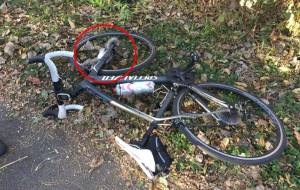 Squirrel Sacrifices Self, Politician Hospitalized