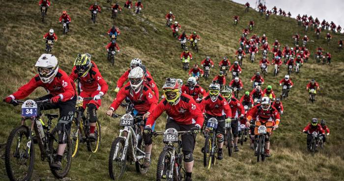 red-bull-fox-hunt