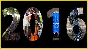 Five Reasons 2016 Didn’t Suck