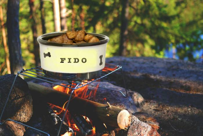 dog-food-cooking-on-campfire