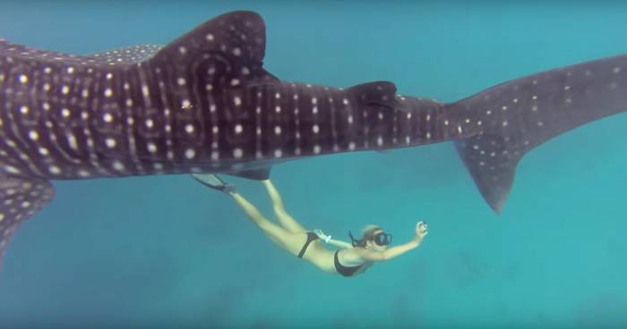 GoPro ‘Year In Review’ A Wild Ride Through Sports