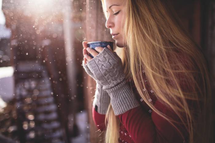 icebreaker gift guide