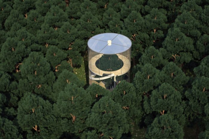 treehouse-tree-tops