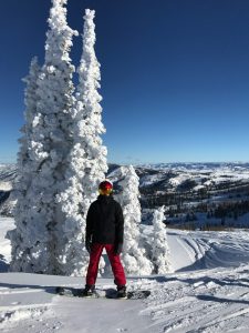 Powder Mountain Nate by snow trees
