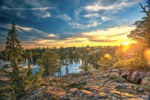 This California Neuroscientist Shoots ‘Mind-Blowing’ Photos