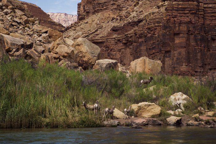 10 Reasons To Raft The Grand Canyon