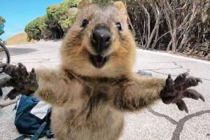Found: World’s Cutest GoPro Photo