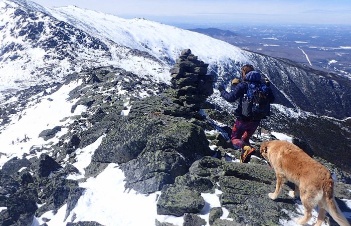 Zimmerbuilt custom backpack review