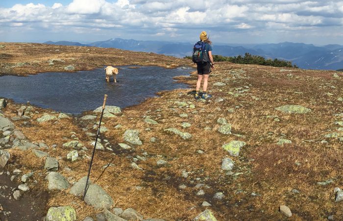 Zimmerbuilt backpacks