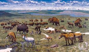 Pleistocene Park Aims For Ice Age Rebirth