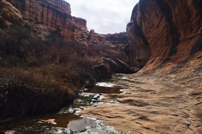 Hike, Climb, Run, MTB: 5 Adventures In Bears Ears
