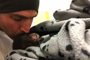 Heroic or Foolish? Man Revives ‘Almost Lifeless’ Bear Cub