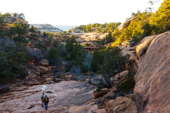 Hike, Climb, Run, MTB: 5 Adventures In Bears Ears
