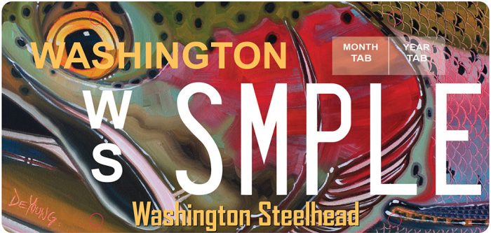 Wild Steelhead License Plate