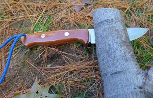Super Steel Knife: Bark River Bravo LT in 3V