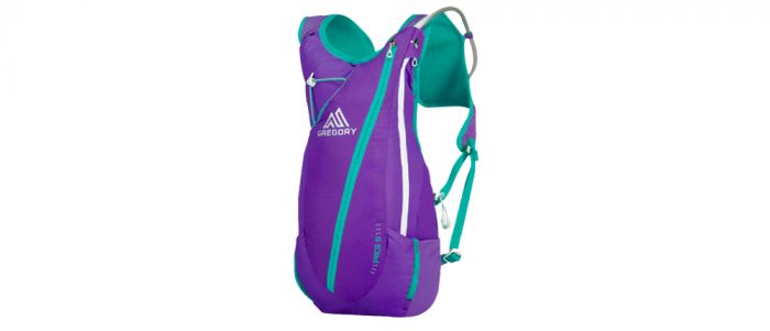 Gregory Pace 8 Hydration Pack Purple