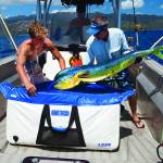 Stash inflatable cooler west marine