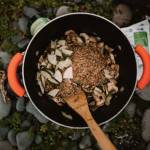 patagonia provisions savory grains mushroom