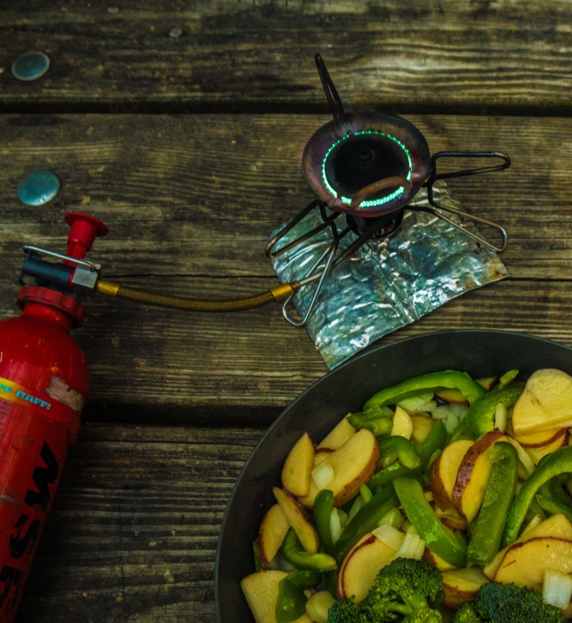 Packing It Out MSR Whisperlite International