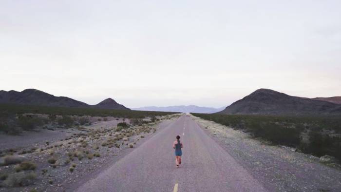 bird-strike-running-speed-project