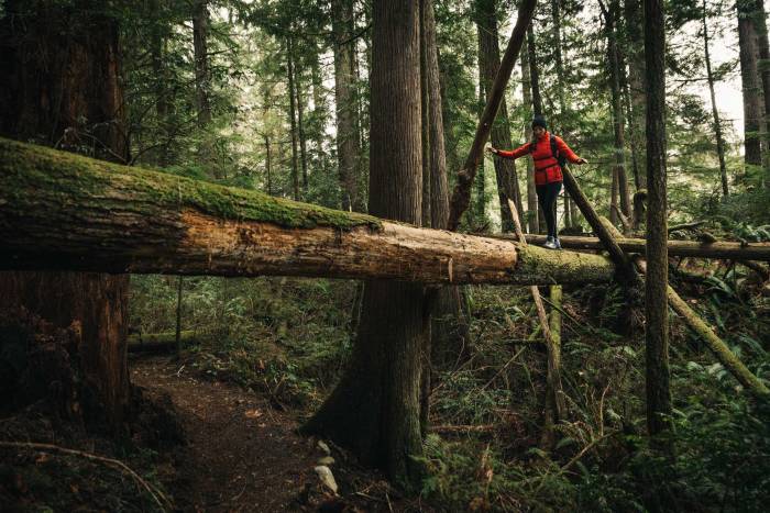 In The Spotlight: Boa Brand Profile