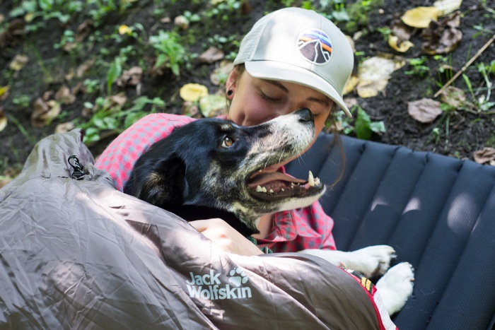 Dog In Jack Wolfskin Smoozip Sleeping Bag