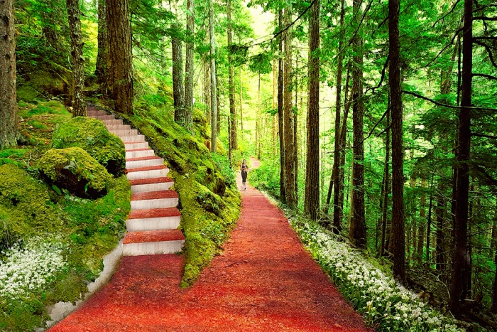 Parkorman Turkey Central Park Pictures