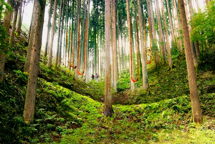 Parkorman Turkey Central Park Pictures