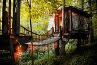 secluded-treehouse-bridge