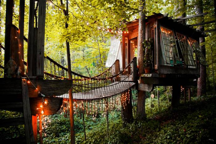 secluded-treehouse-bridge