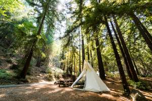 Adult Summer Camp: Get Outside at the Pursuit Series