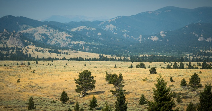 Packing It Out Montana Mountains
