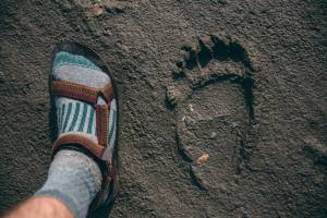 Gearing Up for ‘Gates of the Arctic National Park’