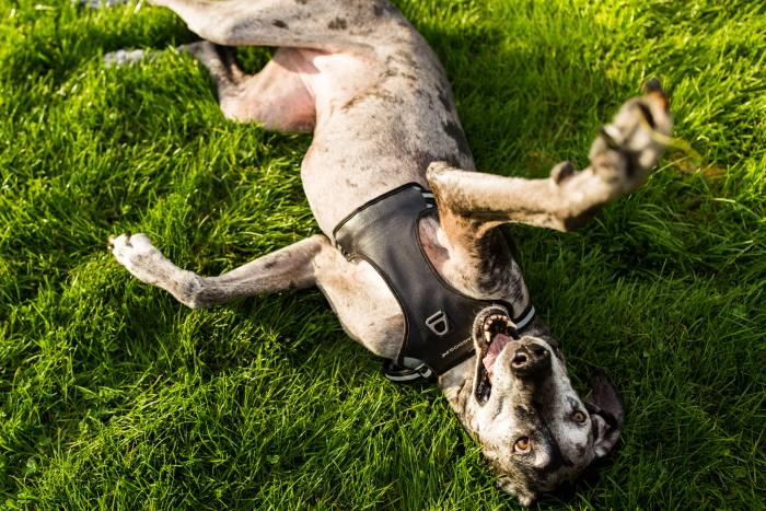 Emerging Gear: Outdoor Products This Week