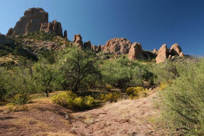 blm opens public land coronado national forest santa teresa