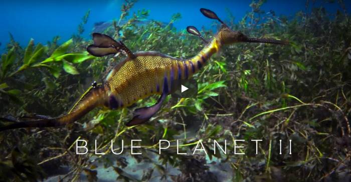 Blue Planet Two