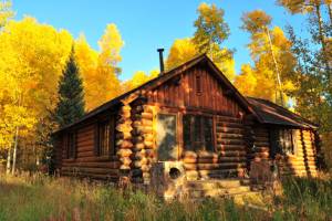 Dream Job: Applicant Sought to Live in Quiet Cabins in the Woods