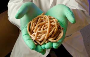 Real Life Monsters: Six Skin-Crawling Creatures to Avoid